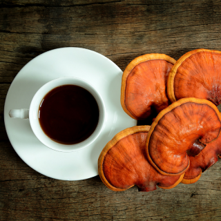 Reishi extrakt kapsle - Lesklokorka lesklá - 30 % Polysacharidů