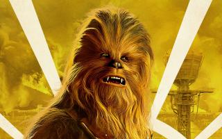 Chewbacca - L21 (Chewbacca - obdélník A4 )