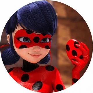 Miraculous Ladybug - L14 (Miraculous - kruh o průměru 19 cm.  )