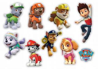 Paw Patrol - L22 (Paw Patrol - obdélník A4 )