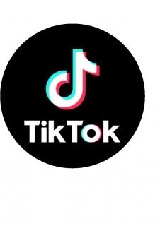 TikTok - L5 (TikTok - kruh o průměru 19 cm.  )