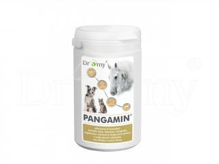 Pangamin 2000 tablet - 900g (Dromy®)