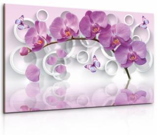 Obraz Růžová motýlí orchidej Velikost: 120x80 cm