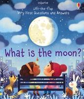 Lift-the-flap Very First Questions and Answers: What is the Moon?