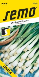 Cibule Gerda - sečka zimní - celoročně pro nať 2g