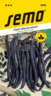 Fazol A Cosse Violette Sans Fil / Purple Podded Climbing - tyč. fial. 7g