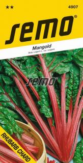 Mangold Rhubarb Chard - zelený list, červený řapík 3g