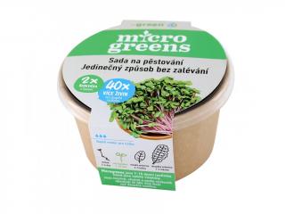 Microgreens ředkvička sada na pěstování