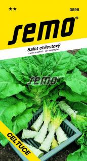 Salát Celtuce - chřestový 0,4g