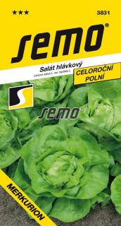 Salát Merkurion - celoroční PROFI - polní 0,6g