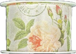 Stuha taftová TEA ROSE PEACH meruňková 40 mm x 2 m (12,50 Kč/m) (Stuha fotopotisk jednostranný, tvarově stálé hrany)