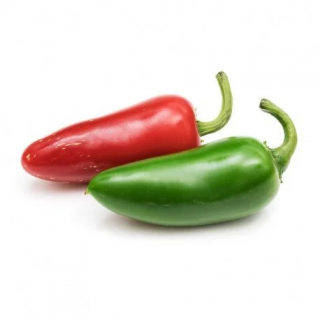 LINGOT S BIO SEMENY JALAPEŇO CHILLI PAPRIČEK