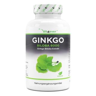 Vit4ever Ginkgo Biloba extrakt 50:1 - 365 tablet