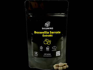 Boswellia Serrata - Extrakt tablety Velikost: 120ks