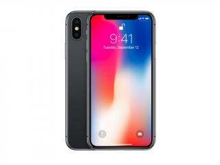 Apple iPhone X 256GB Gray (Šedý)