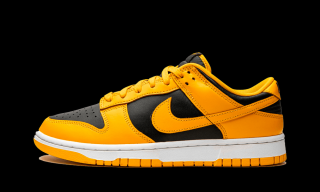 Nike Dunk Low Goldenrod (2021) Velikost: 43