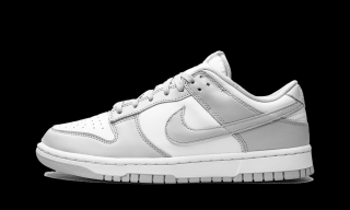 Nike Dunk Low Grey Fog Velikost: 39