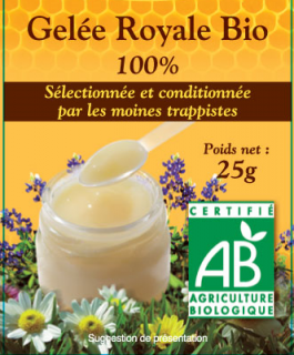 Bio Mateří Kašička -25g (ABBAYE SEPT-FONS)