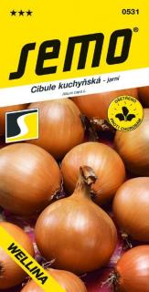 Cibule kuchyňská - jarní - Wellina