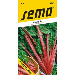 Mangold - Rhubarb Chard