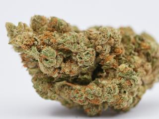 AMNESIA HAZE Premium CBD květy Hmotnost: 50g