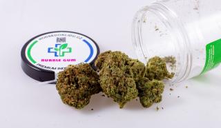 CBD PREMIUM INDOOR - Bubble Gum 2g