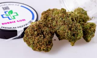 CBD PREMIUM INDOOR - Bubble Gum 3g