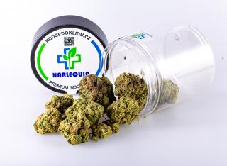 CBD PREMIUM INDOOR - Harlequin 5g