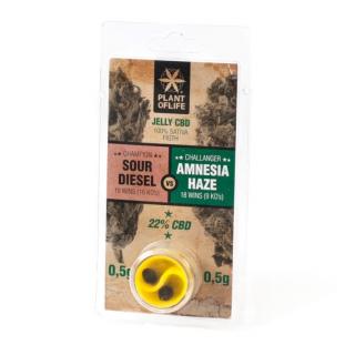 Plant of Life CBD Jelly 22% Sour Diesel vs Amnesia Haze (1g)