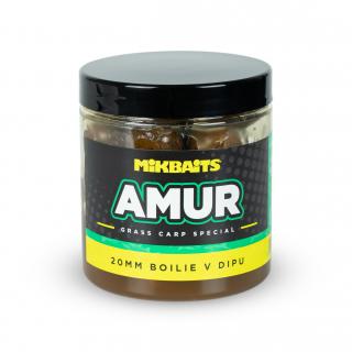 Amur range - Amur 20mm boilie v dipu 250ml Varianta: Amur 20mm boilie v dipu 250ml