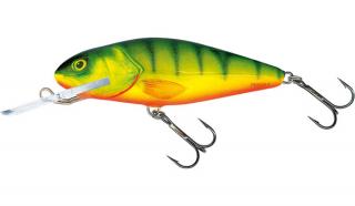 Salmo wobler floating perch - hot perch 8cm 12g