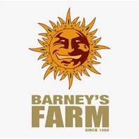 Barneys Farm - Runtz Muffin balení: 5ks