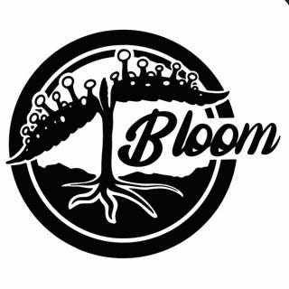 Bloom Seed Co | Strawberry Candy | Orange Zkittlez x Strawberry Guava