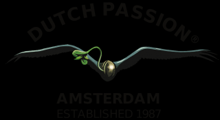 DUTCH PASSION - Skywalker Haze balení: 10ks