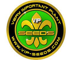 Tank - Vip Seeds (10ks)