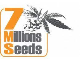 ZKITTLES - MILIONS SEEDS (10ks)