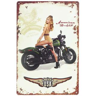 Retro cedule Harley Davidson Military 20x30cm (Plechová tabule - rozměry: 20x30cm, materiál: plech)