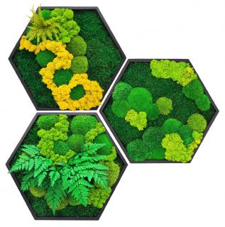 SADA mechové hexagony 3 ks