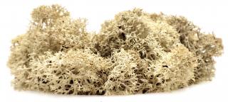 Sobí mech finský Polarmoss - Reindeer moss 1kg, barva přírodní Natural, v kartonu