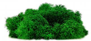 Sobí mech finský Polarmoss - Reindeer moss 1kg, barva zelená Apple green, v kartonu