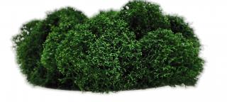 Sobí mech finský Polarmoss - Reindeer moss 1kg, barva zelená Leaf green, v kartonu