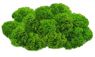 Sobí mech finský Polarmoss - Reindeer moss 1kg, barva zelená May green, v kartonu