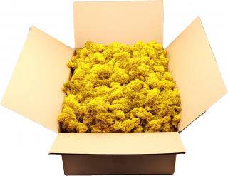 Sobí mech finský Polarmoss - Reindeer moss 5 kg, barva žlutá Yellow