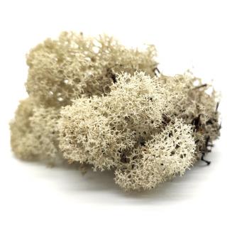 Sobí mech finský Polarmoss - Reindeer moss 500g, barva přírodní Natural, v kartonu