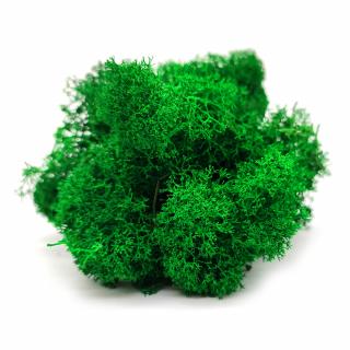 Sobí mech finský Polarmoss - Reindeer moss 500g, barva zelená Apple green, v kartonu