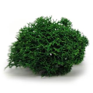 Sobí mech finský Polarmoss - Reindeer moss 500g, barva zelená Leaf green, v kartonu