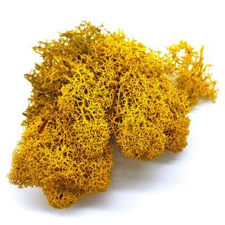 Sobí mech finský Polarmoss - Reindeer moss 500g, barva žlutá Yellow, v kartonu