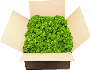 Sobí mech finský Polarmoss - Reindeer moss 5kg, barva zelená May green, v kartonu