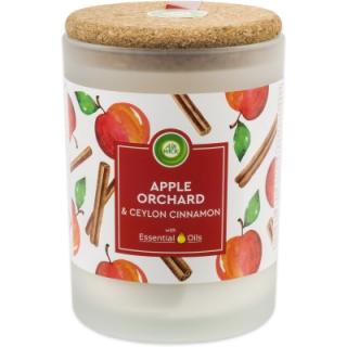 Air Wick Essentials Oils Apple Orchard & Ceylon Cinnamon 185 g