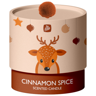 PanAroma vonná svíčka v dárkovém balení Cinnamon Spice 100g IDDRZ147603eb-7440-4929-8429-135b0b30510f